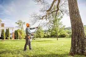 Professional  Tree Services in New Burlington, OH