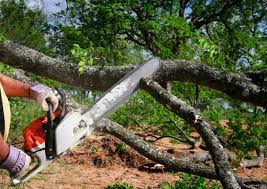 Best Lawn Grading and Leveling  in New Burlington, OH